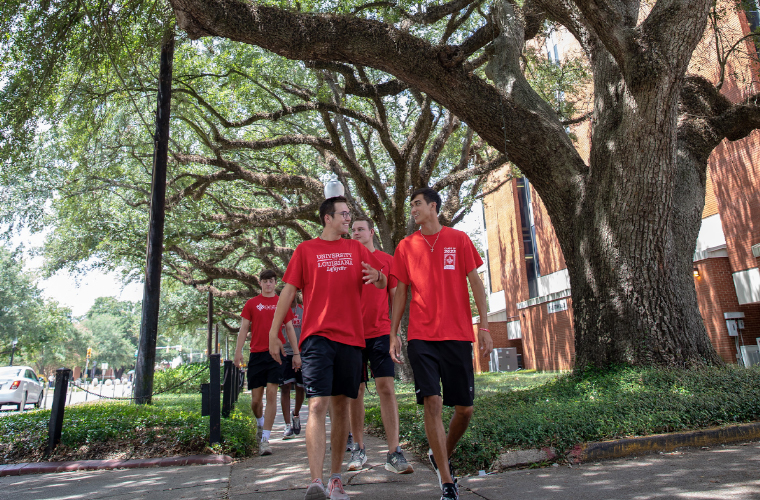 University of Louisiana at 69ý students walking underneath a canopy of oak trees on campus